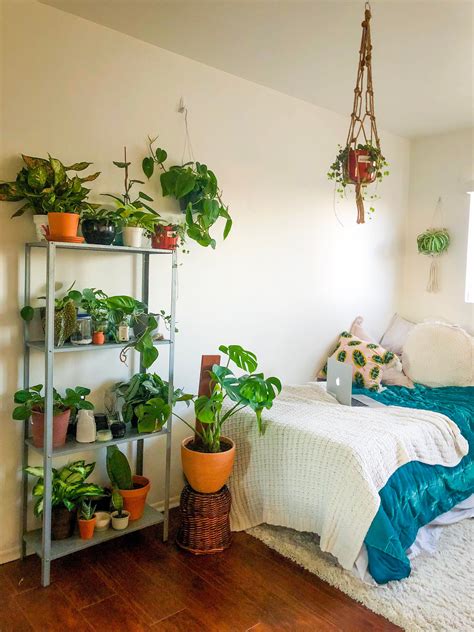 20+ Bedroom Plants Decor Ideas - DECOOMO