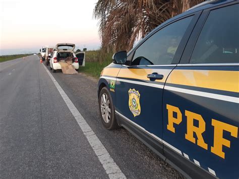 Prf Apreende Mais De Quilos De Pescado Transportado Sem