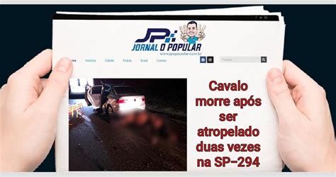 Cavalo Atropelado Duas Vezes Na Rodovia Sp Em Tup E Morre Jp