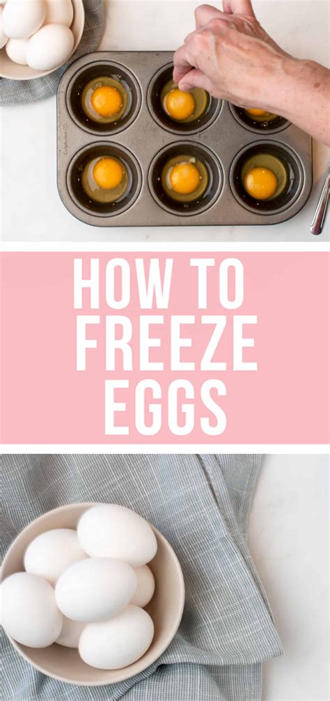 Can You Freeze Eggs Yes And You Should Use My Easy Method To Freeze