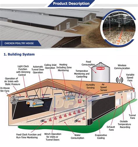 China Steel Structure Chicken Farm Building Design Poultry House To