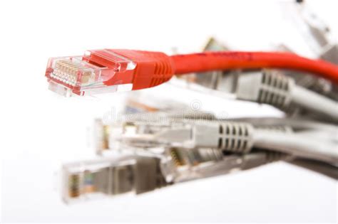 Bunch Of Brightly Coloured Ethernet Network Cables Stock Photo Image