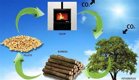 Tipos de biomasa que se utilizan para producir energía