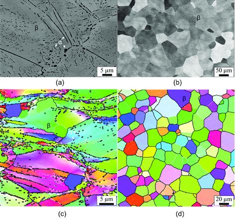 SEM Images And EBSD Inverse Pole Figure IPF Maps Showing The