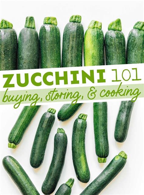 Zucchini 101 Everything You Need To Know About Zucchini Squash