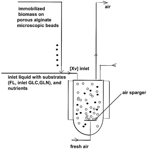 Molecules Free Full Text Model Based Optimization Of A Fed Batch