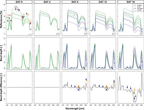 Spectral Contrasting Reflectance Of Malus G Normal And Hyperhydric