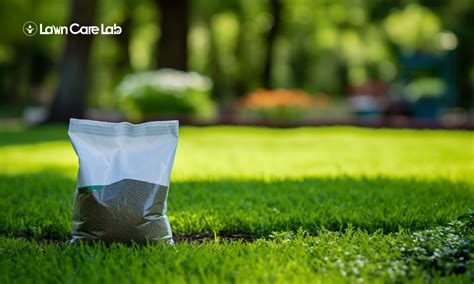 The Fundamentals Of Lawn Fertilization