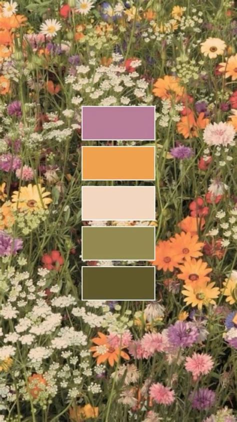 Floral Background Wallpaper Phone Background Phone Wallpaper Color Palette Flower Field