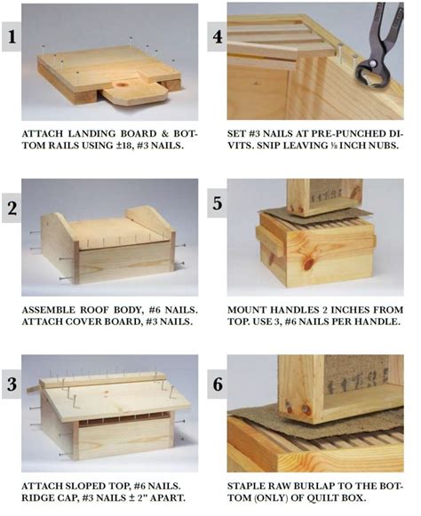 Hive Kit Assembly Instructions - Page 4 of 4 - Beeologique