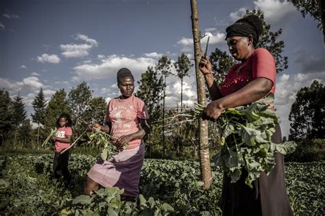 Rural Gender Inequalities 2 Feminisation Of Agriculture And Covid 19