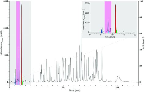 Reversed Phase High Performance Liquid Chromatography Rp Hplc