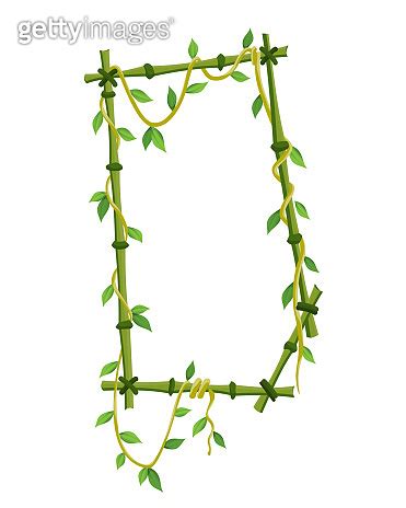 Tropical Liana Frame Jungle Plant Branches With Leaves Tropical