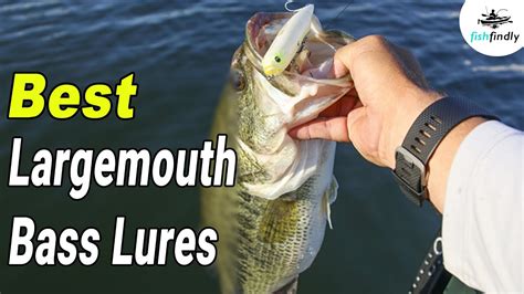 Best Largemouth Bass Lures In 2020 Catch The Bass With Largemouth