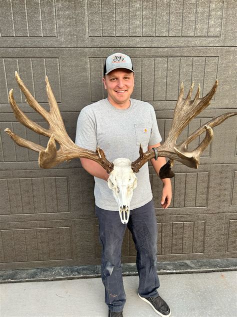 Mule Deer Replicas — Trapperman Antlers