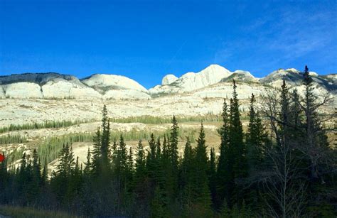 Just driving through Jasper Alberta | Natural landmarks, Jasper alberta ...