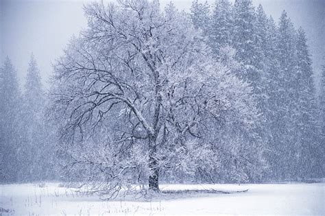 Fondos de Pantalla Estaciones del año Invierno Nieve Naturaleza