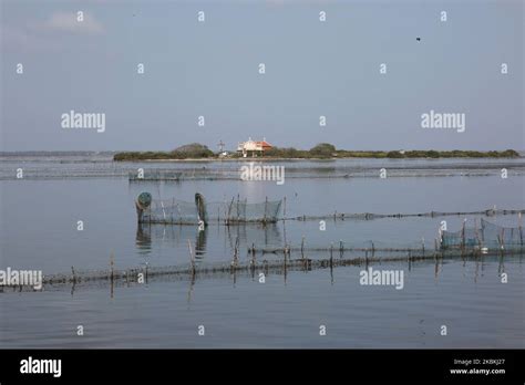Fishing Nets Seen Along The Jaffna Peninsula In Jaffna Sri Lanka A