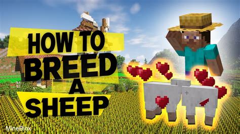 How To Breed Sheep In Minecraft Get Wool And Mutton For Your