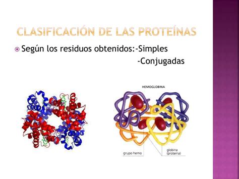 PPT Proteínas y enzimas i PowerPoint Presentation free download ID