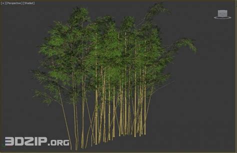 3d Bamboo Model 1 Free Download