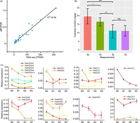 A Correlation Analysis Of Qrt Pcr And Rna Seq Results B Changes In