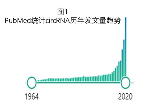 Circrna