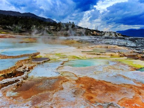 Canary Spring At Mammoth Hot Springs Yellowstone NP TravelDads