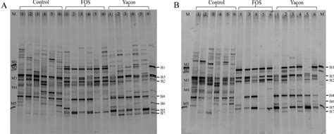 Pcr Dgge Profiles Representing The A Fecal Week 4 And B Cecal Download Scientific Diagram