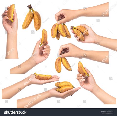 Collection Hand Holding Bananas Isolated On Stock Photo 1987426745