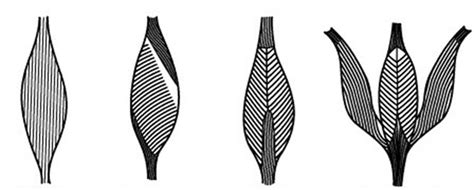 Spring Heel Shoes 3d Print 8 Steps With Pictures Instructables