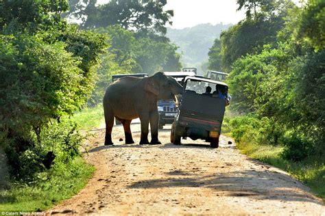 Yala National Park - Uplist Digital