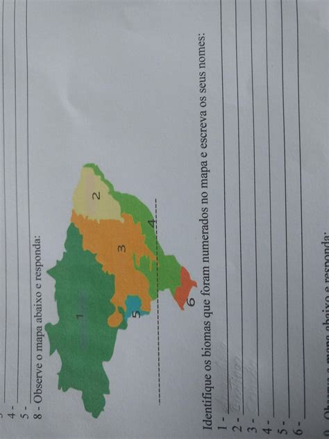 Observe O Mapa Abaixo E Responda Identifique O Biomas Que Foram