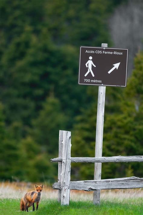 Carnet de voyage au parc national du Bic Sépaq