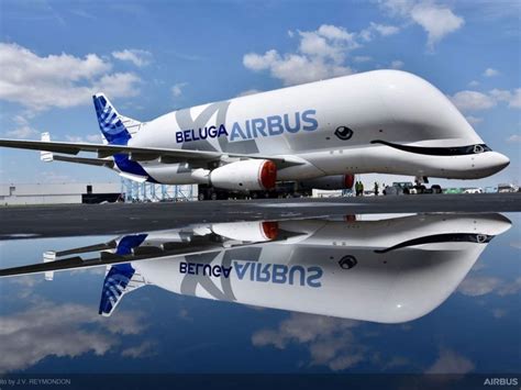 Airbus Beluga to now aid private companies in movement of capacious cargo