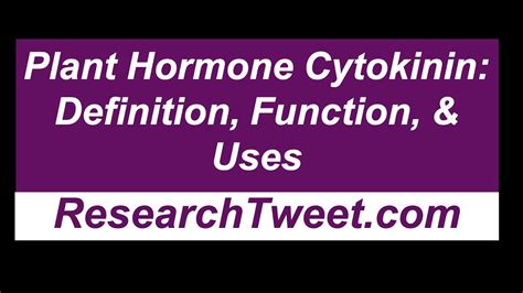 Plant Hormone Cytokinin Definition Function And Uses Youtube