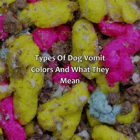 Mustard Color Vomit Dog At Eileen Towner Blog