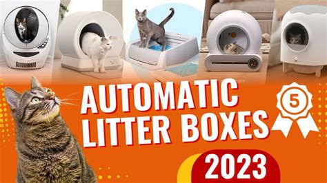 Top 5 Best Automatic Litter Boxes In 2023 Youtube