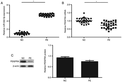 Expression Of Mir P And Pdgfra In The Placental Tissues From