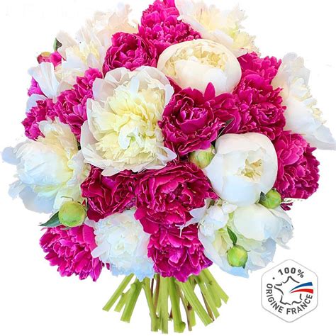 Livraison Sublimes Pivoines 15 Tiges 5 Offertes Bouquet De Fleurs