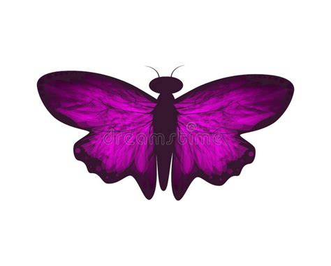 Vector Illustration Of Purple Butterfly Isolated Stock Vector Illustration Of Butterfly