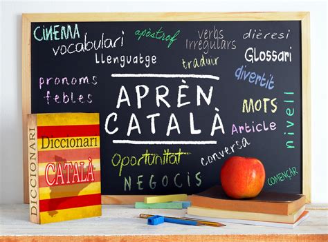 Técnicas y consejos para sembrar en catalán Aprende a cultivar en la