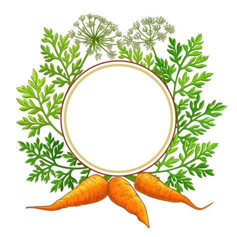 Carrot Outline Vector Images (over 13,000)