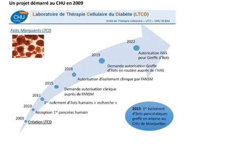 Le Chu De Montpellier R Alise Sa Re Greffe D Ilots Pancr Atiques