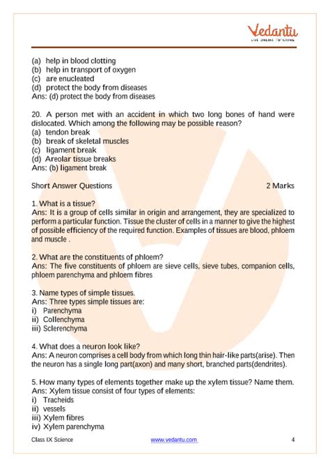 Chapter 3 Cells And Tissues Tissue Repair Answer Key Shonaclaudia