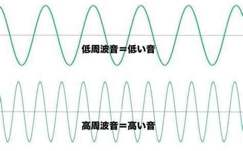 【低周波音と高気密住宅と健康】森の中で音が静かになる理由 空気がうまい家