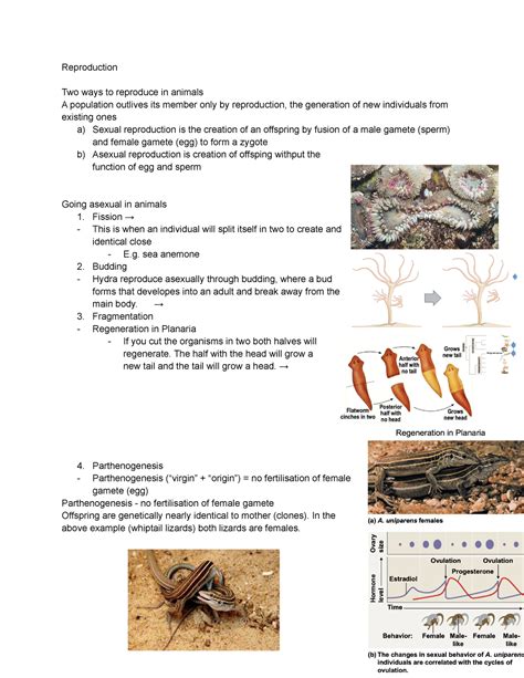 Week 7 Asexual And Sexual Reproduction Action Potentials Neurobiology Neuron Morphology