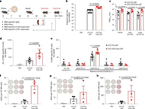 Humoral Immune Responses Induced By Adjuvant Lipidoid Substituted