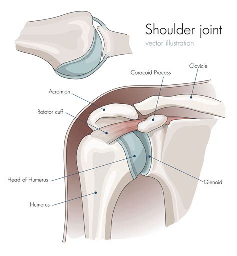 Shoulder Impingement Syndrome Test