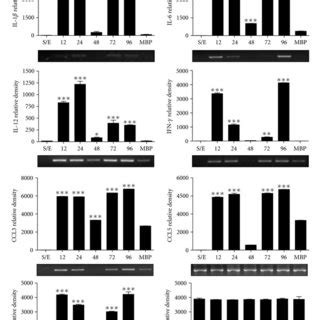 Expression Of Genes For Cytokines And Chemokines In PBMC Stimulated